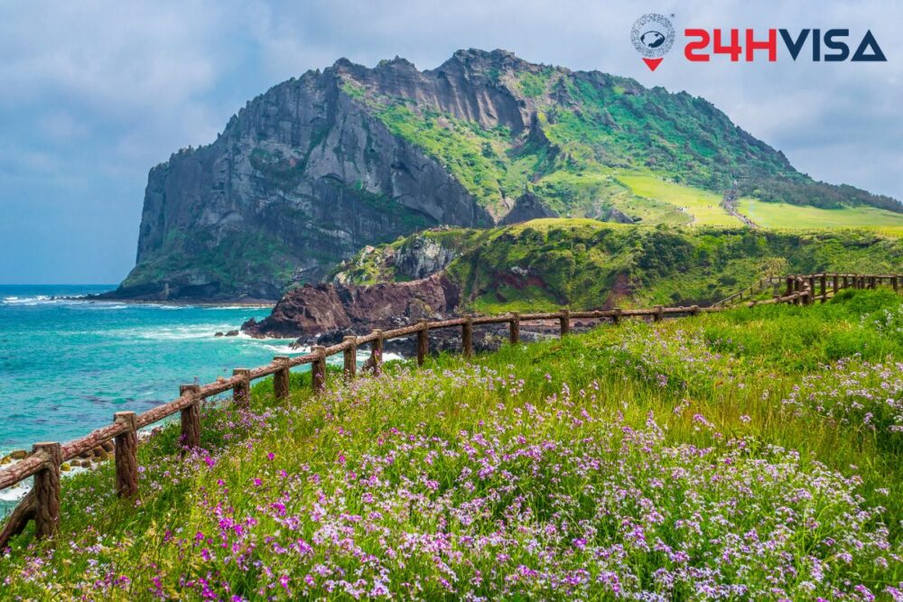 Đảo Jeju miễn Thị thực cho du khách lưu trú tại đảo tối đa 30 ngày