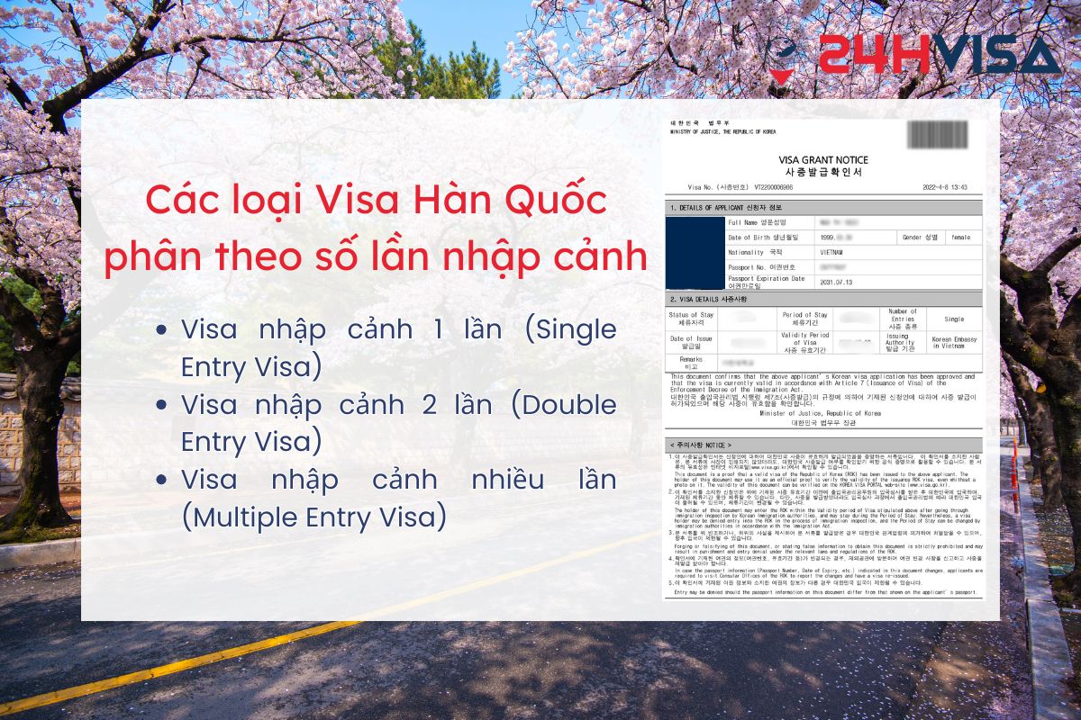 Số lần nhập cảnh Hàn Quốc của từng loại Visa