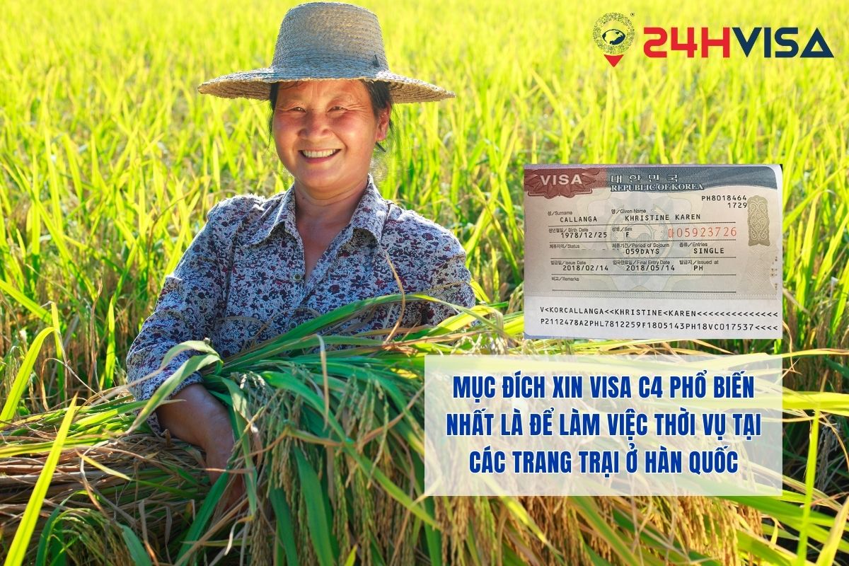 Mục đích xin Visa C4 phổ biến nhất là để làm việc thời vụ tại các trang trại ở Hàn Quốc