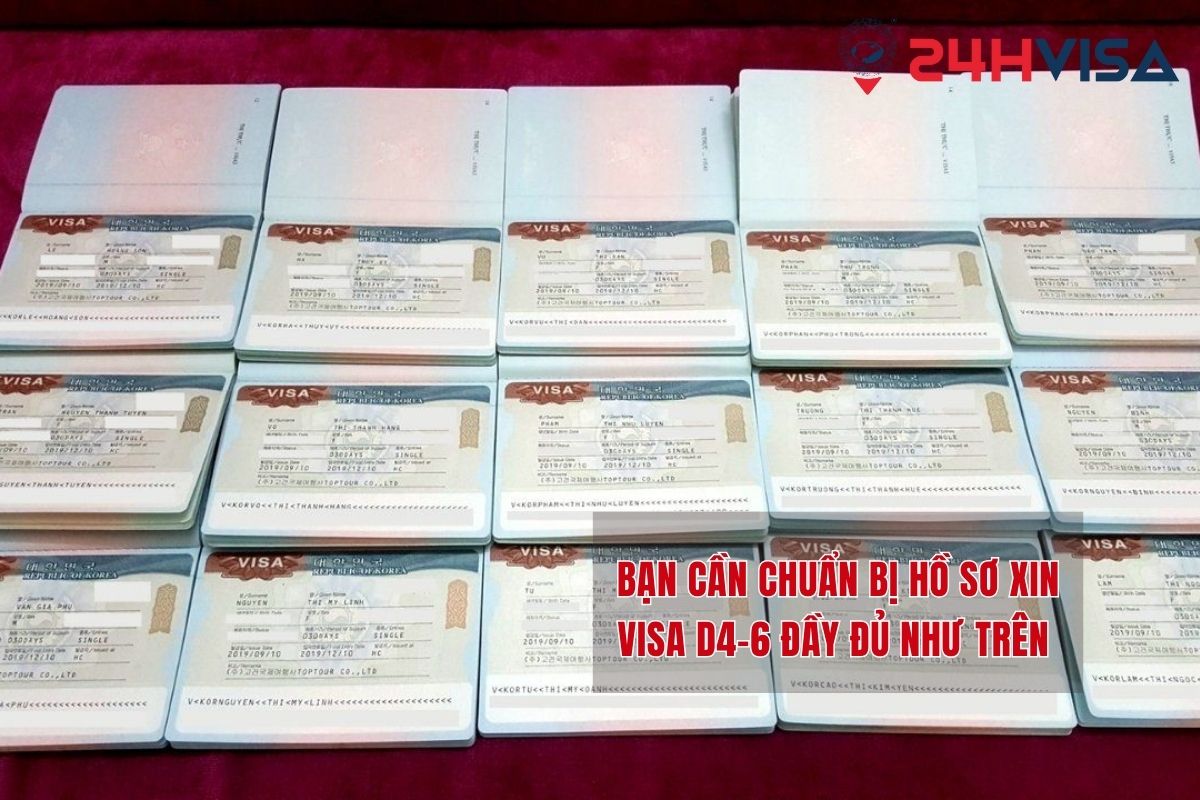 Bạn nên chuẩn bị hồ sơ xin Visa D4-6 đầy đủ