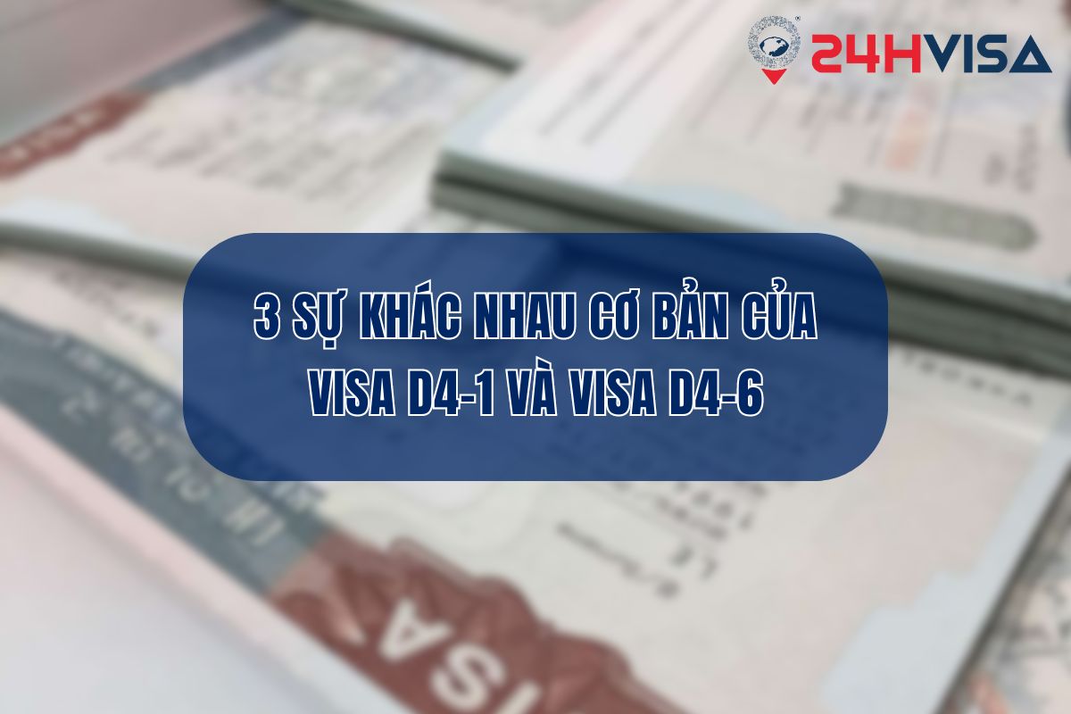 3 sự khác nhau cơ bản của Visa D4-1 và Visa D4-6