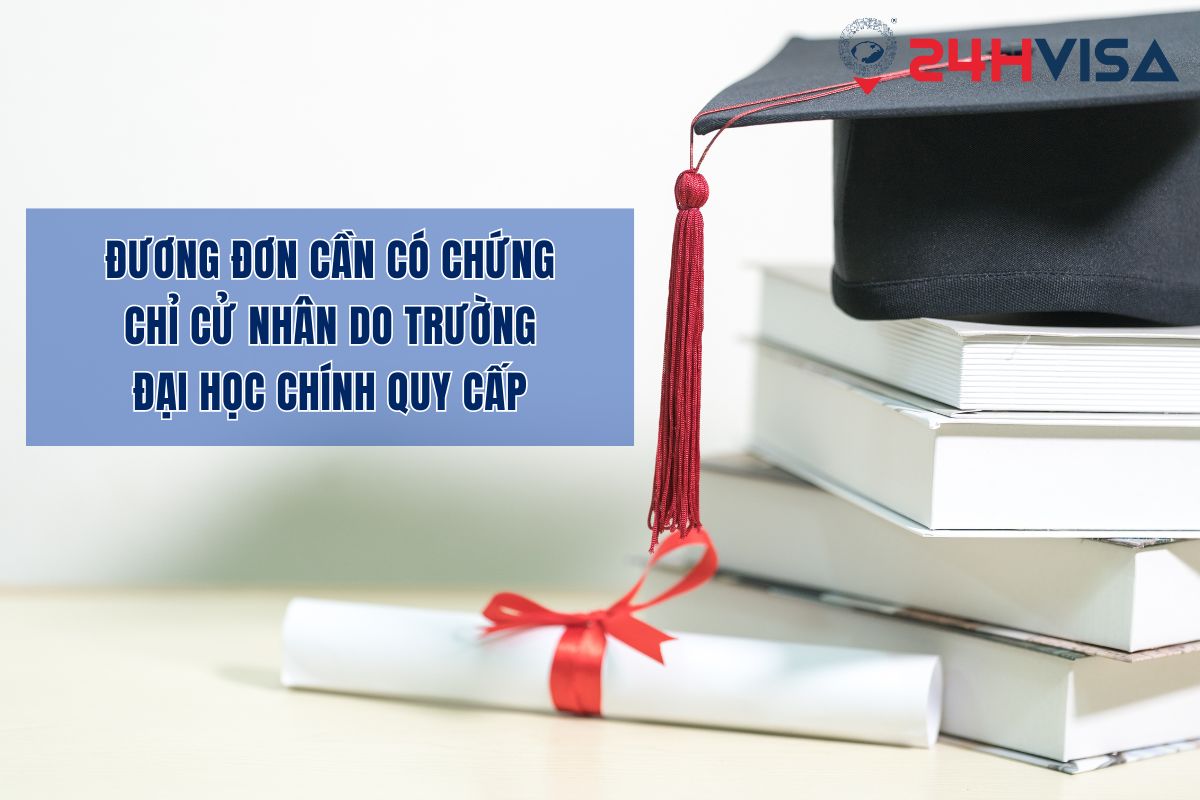 Đương đơn cần có chứng chỉ cử nhân do trường đại học chính quy cấp