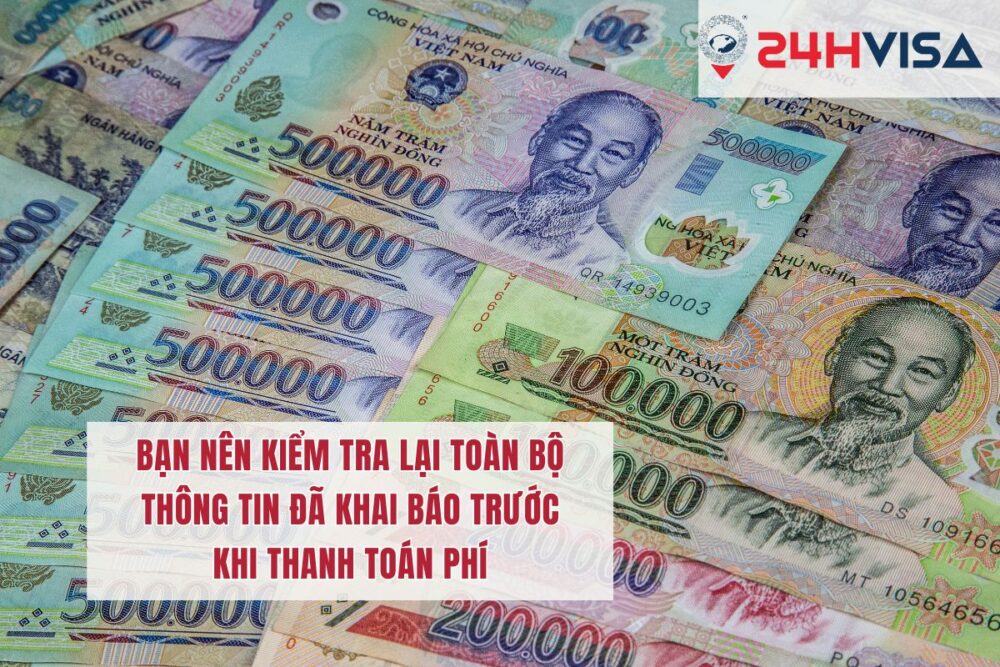 Bạn nên kiểm tra lại toàn bộ thông tin đã khai báo trước khi thanh toán phí