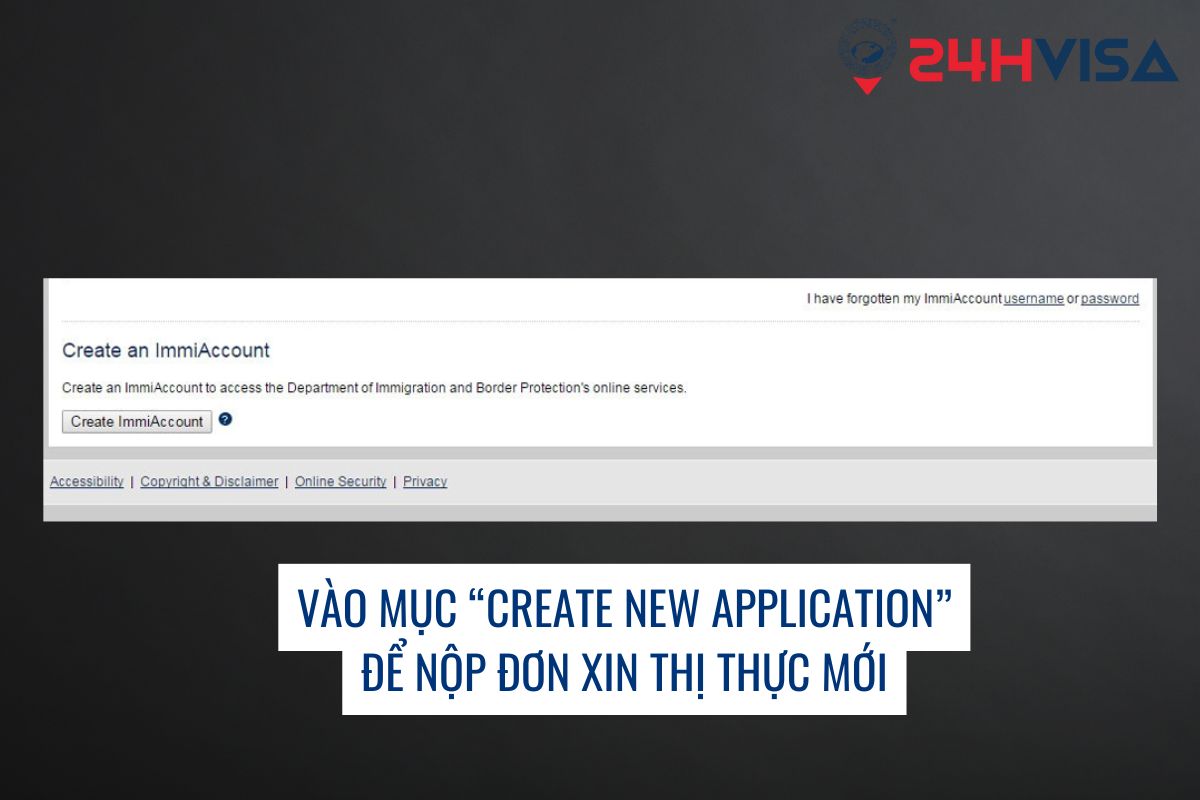 Vào mục “Create new application” để nộp đơn xin Thị thực mới